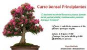 CURSO BONSAI PRINCIPIANTES