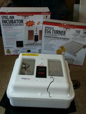 Incubadora Digital para 42 huevos