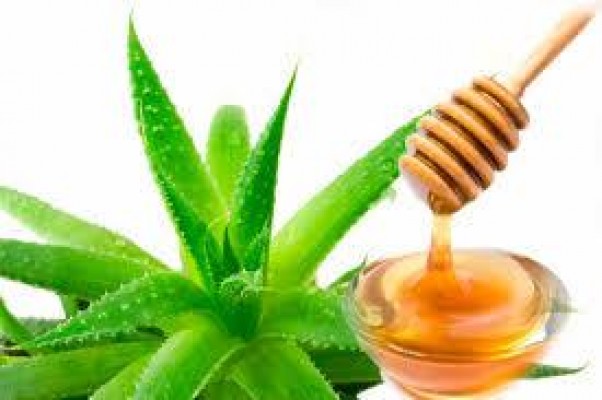 vendo aceites esenciales, para aromaterapia, medicinales, masajes muculares cel. 55584258 53545714 whatsapp