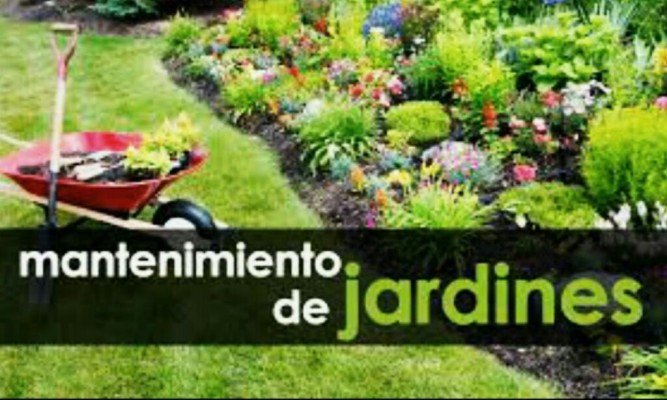 Jardineria Profesional Cotizacion Gratis
